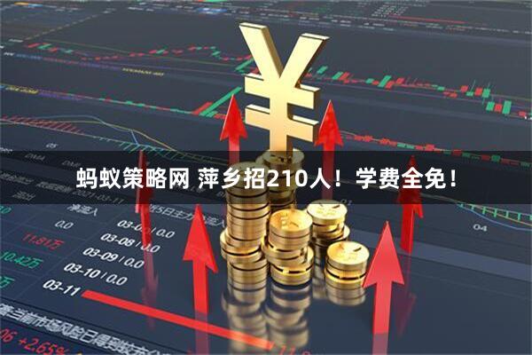 蚂蚁策略网 萍乡招210人！学费全免！
