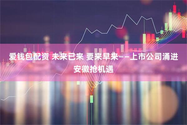爱钱包配资 未来已来 要来早来——上市公司涌进安徽抢机遇